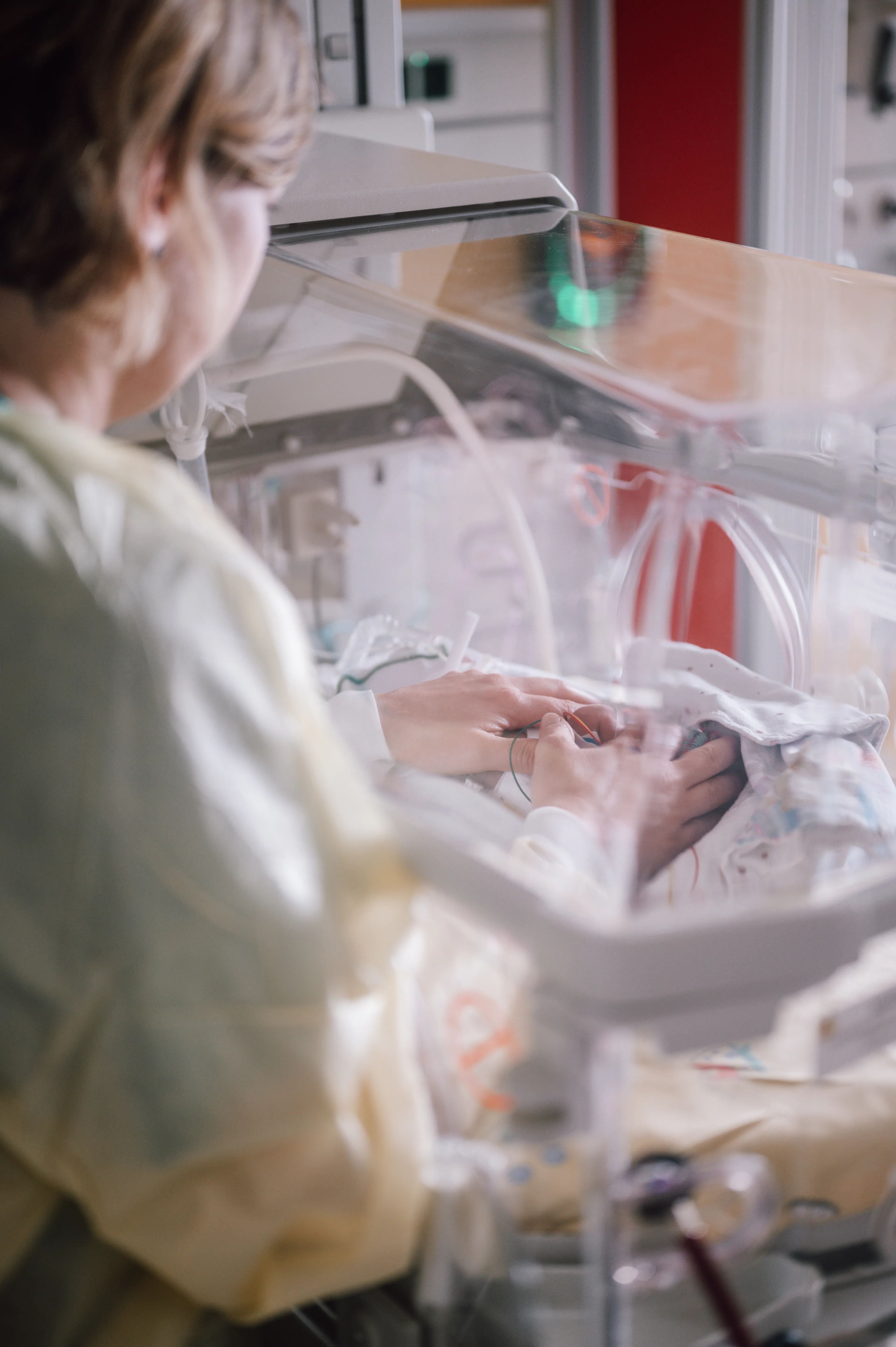 Susanne Hoppe bei der Arbeit am Inkubator